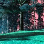 Wayne Niemi - @niemi.wayne - Instagram