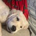 Wayne Niles - Facebook