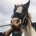 Wayne Nixon - @maximasjamiedonut - Instagram