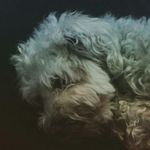 Wayne Noll - @waynenoll - Instagram
