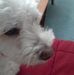 Wayne Noll - Facebook