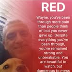 Wayne Norbury - @wayne.norbury - Instagram
