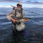 Wayne Nordick - @waynenordick - Instagram