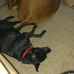 Wayne Novak - Facebook
