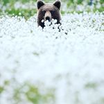 Wayne Nunn - @nunn.wayne - Instagram