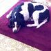 Wayne Nutt - Facebook