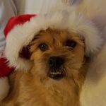 Wayne Nuttall - @wayne.nuttall.71 - Instagram