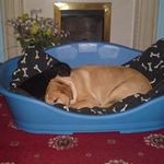Wayne Nuttall - @wayne.nuttall.9 - Instagram