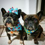 Penny & Wayne - @pennyewayne - Instagram