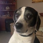 Wayne Oakley - @oakley8657 - Instagram