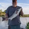 Wayne Altman - @waynealtman1 - TikTok