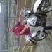 Wayne Odonnell - Facebook