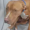 Wayne Odonnell sarge - @wayne.odonnell.sa - TikTok