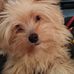 Wayne Ogden - Facebook
