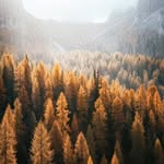 Wayne Oglesby - @wayneoglesbypyi.13111 - Instagram