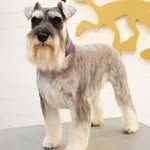 Wayne Ohara - @cpl24870600 - Instagram