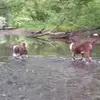 Dwayne Olinger - @dwayne.olinger - TikTok