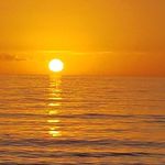 Wayne Oneal - @wayne.oneal.5680 - Instagram