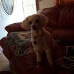 Wayne O'Neal - @oneal_wayne - Instagram