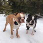 Wayne O'Neill - @wayneoneill7 - Instagram