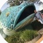 Wayne O'Neill - @wayne_oneill.585 - Instagram