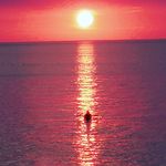 Wayne Ouimette - @wayneouimette - Instagram