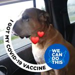 Wayne Overby - @wayne.overby.56 - Instagram
