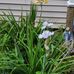 Wayne Offermann - Facebook