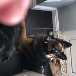 Wayne Overton - @overton_wayne - Instagram