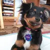 Wayne Pacheco - @wayne.pacheco6 - TikTok
