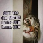 Wayne Pack - @wayne_o_pack_jr - Instagram