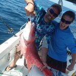 David Wayne Padgett - @david.countryboy - Instagram