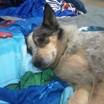 Gregory Wayne Padgett - @gregpadgett35 - Instagram