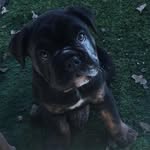 Bruce Wayne Padilla - @bruce_oeb - Instagram