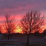Wayne Pankratz - @tri_wayne - Instagram