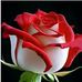 Paulinah Winnie - Facebook