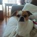Wayne Pappas - Facebook