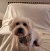 Wayne Pappas - Facebook