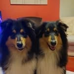 Wayne Parfitt - @wayneparfitt3 - Instagram