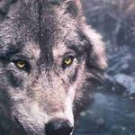 Wayne Parham - @parhamwayne19 - Instagram