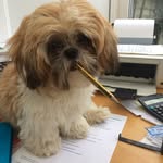 Wayne - @wayne_parkin - Instagram