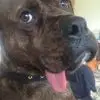 wayneparkins0 - @wayne.parkins - TikTok