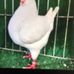 Wayne L Parnell - Facebook