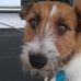 Wayne Parnell - Facebook