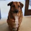 Wayne Parnell - @wayne.parnell - TikTok