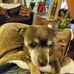 Wayne L Parr - Facebook