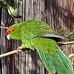 Wayne Parr - Facebook