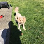 Wayne Parrack - @wayneparrack - Instagram