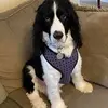 Wayne Parris - @wayne.parris0 - TikTok