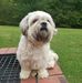 Wayne Patrick - Facebook